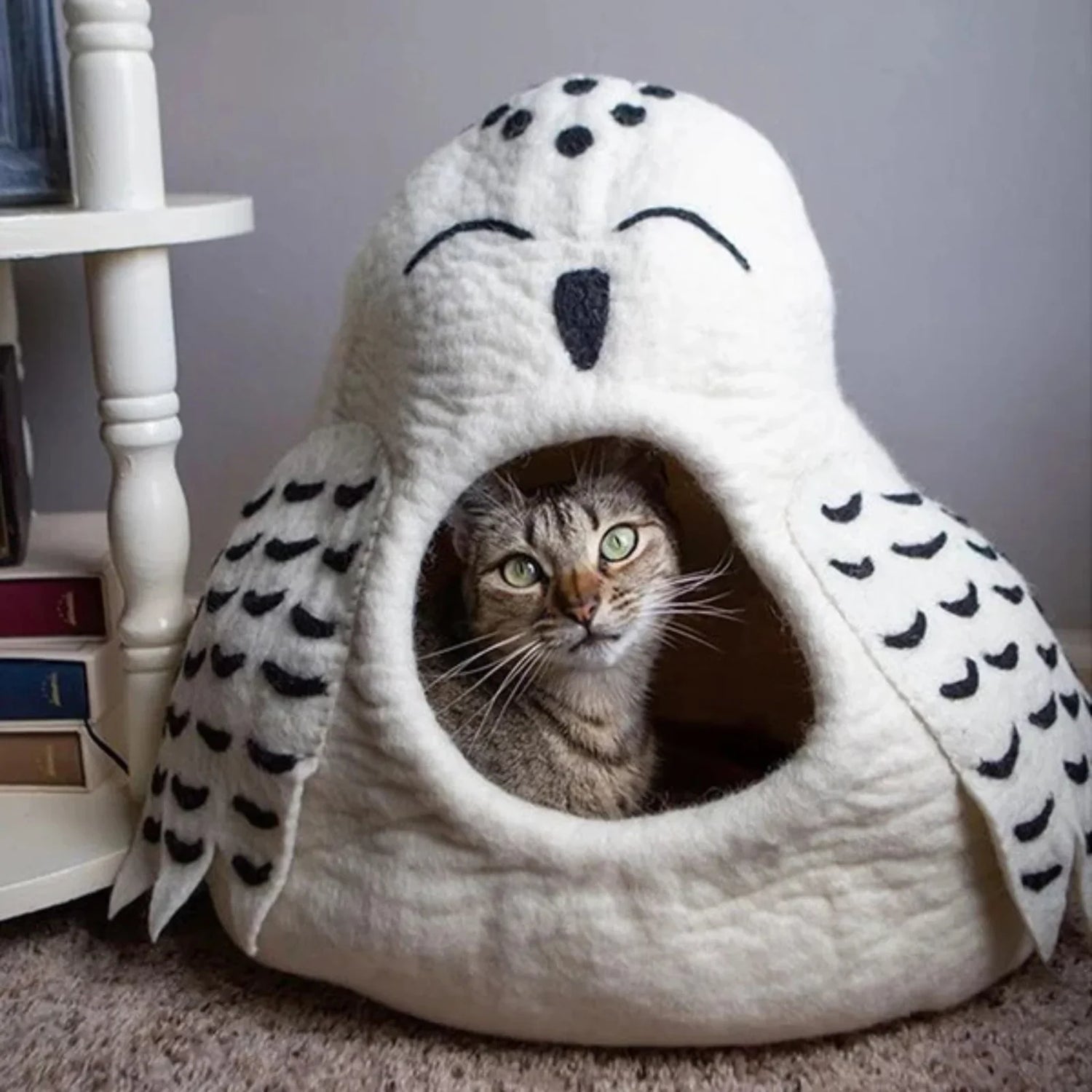 Beds & blankets