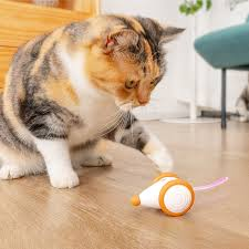 Cat Toys
