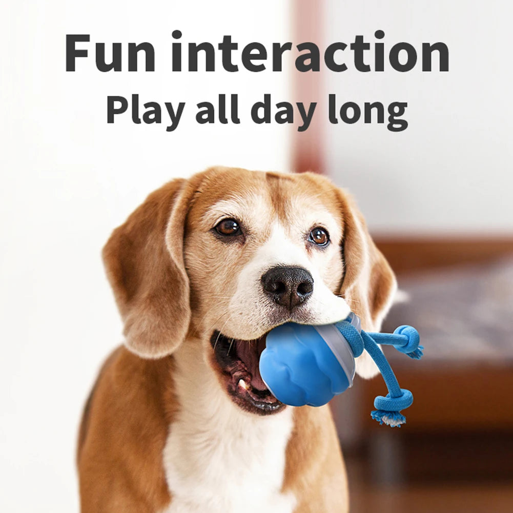 Interactive Dog Toys Ball Electric Rolling Ball with Rope Automatic Bouncing Ball USB Rechargeable Pet Exercise Toy Pet Supplies