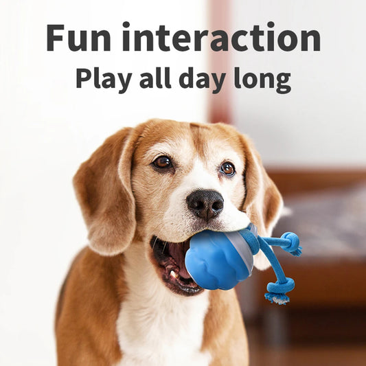 Interactive Dog Toys Ball Electric Rolling Ball with Rope Automatic Bouncing Ball USB Rechargeable Pet Exercise Toy Pet Supplies