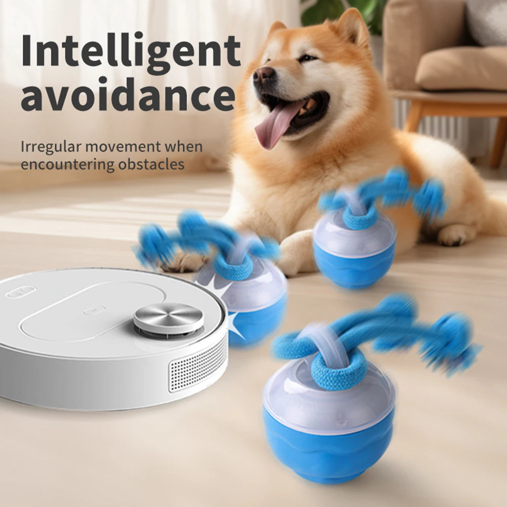 Interactive Dog Toys Ball Electric Rolling Ball with Rope Automatic Bouncing Ball USB Rechargeable Pet Exercise Toy Pet Supplies