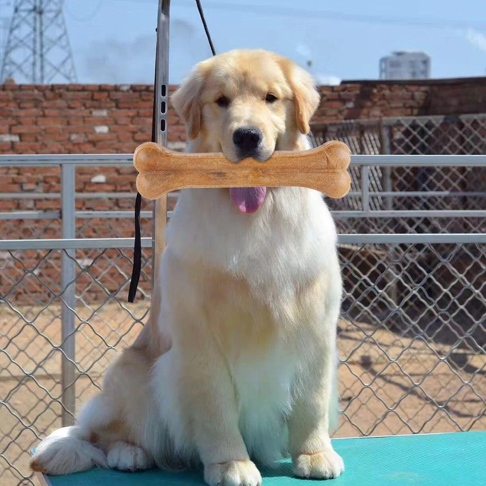 8 Inch Cowhide Bone Non-Toxic Creative Teeth Clean Stick Anti-bite Puppy Teething Toys  for Small Medium Large Dog