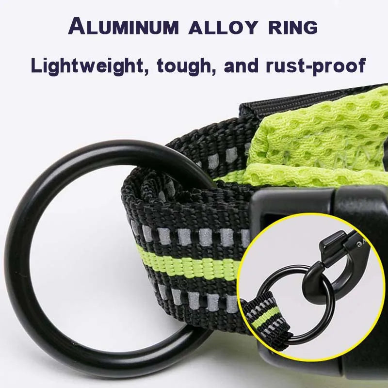 Winhyepet Dog Walking Collar Comfort Padded with Buckle Nylon Traveling Collar Tactical Dog Suplies 11 Colors Size XXS-XXXL